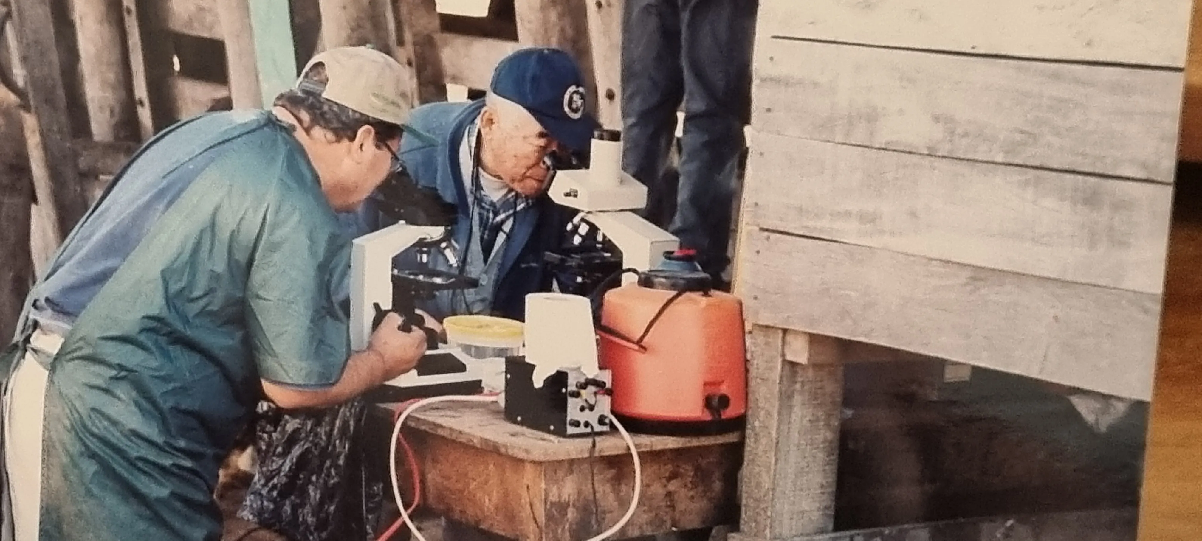 Mejoramiento Genético